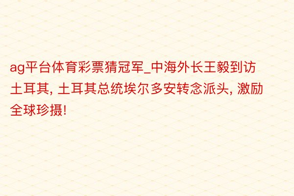 ag平台体育彩票猜冠军_中海外长王毅到访土耳其, 土耳其总统埃尔多安转念派头, 激励全球珍摄!