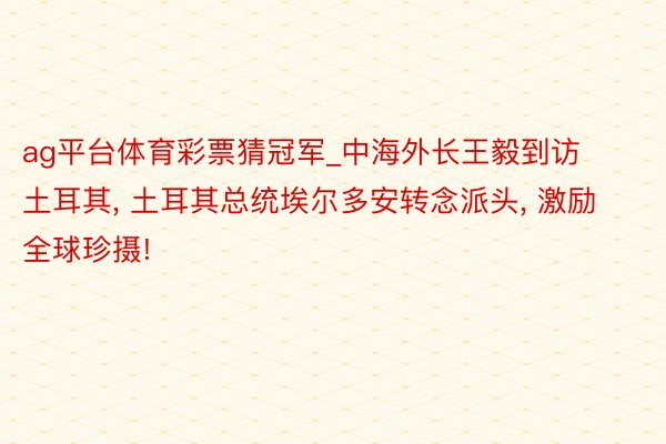 ag平台体育彩票猜冠军_中海外长王毅到访土耳其， 土耳其总统埃尔多安转念派头， 激励全球珍摄!